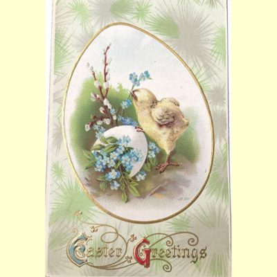 Vintage Easter Postcard featuring a chick with a broken egg and blue flowers. A unique, antique turn of the century postcard.